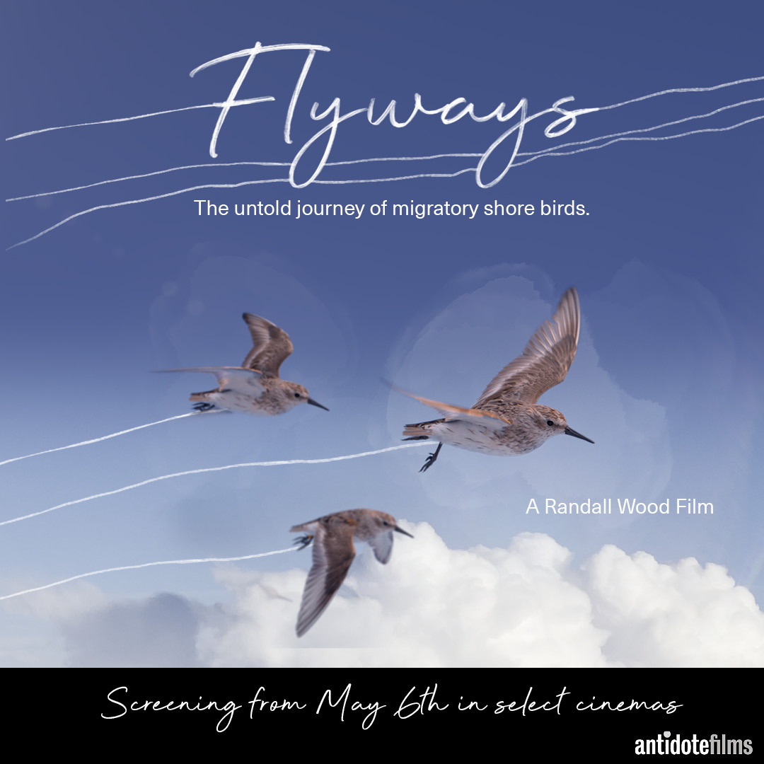 Flyways_SocialMedia_From6thMay_1080x