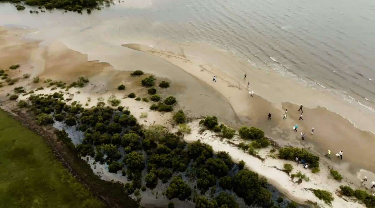 MoretonBay-Drone